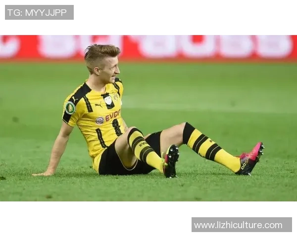 罗伊斯在多特蒙德的忠诚与遗憾交织的足球人生之路